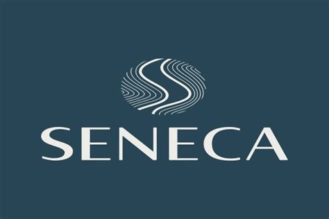 ivmedical|seneca medical log in.